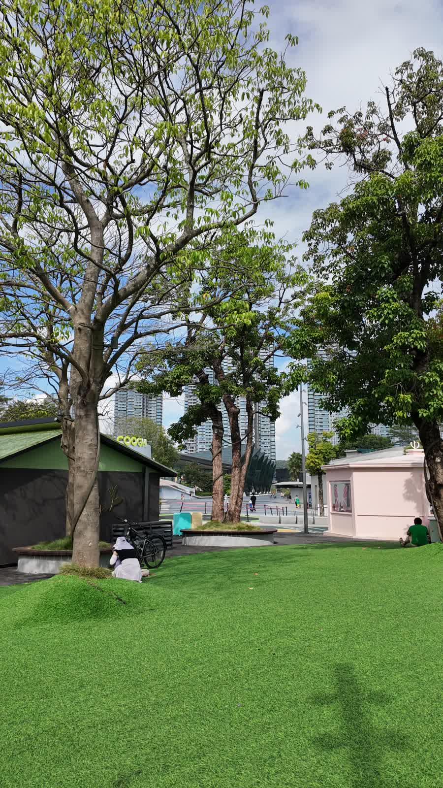 树影草地