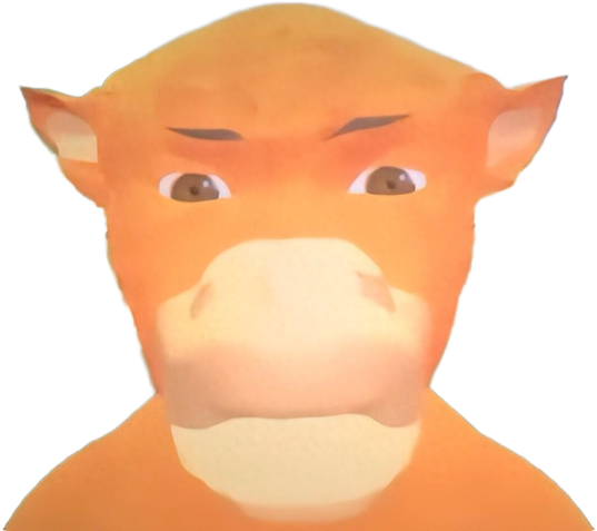 橘猫头像